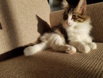20181109_095948.jpg