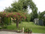 DSCN0266.JPG