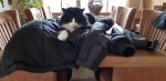 20190328_123133.jpg