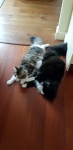 20190516_194727.jpg