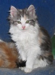201107sara.jpg