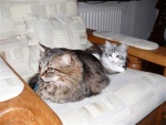 sjeng et kuueb 039.jpg